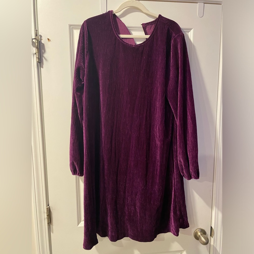 Long Sleeve Velvet A-Line Dress in Deep Plum